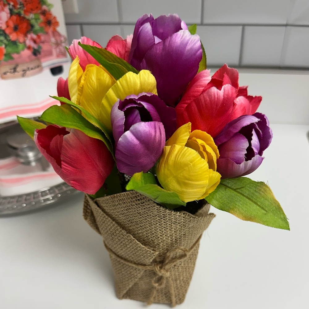 💐Beautiful Tulip Plant